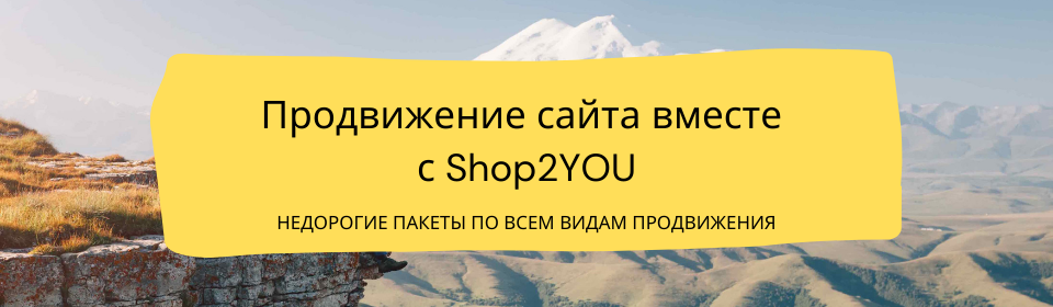 https://www.shop2you.ru/uslugi/prodvizhenie-internet-magazina.shtml